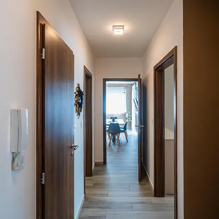Ah-corso Wellness